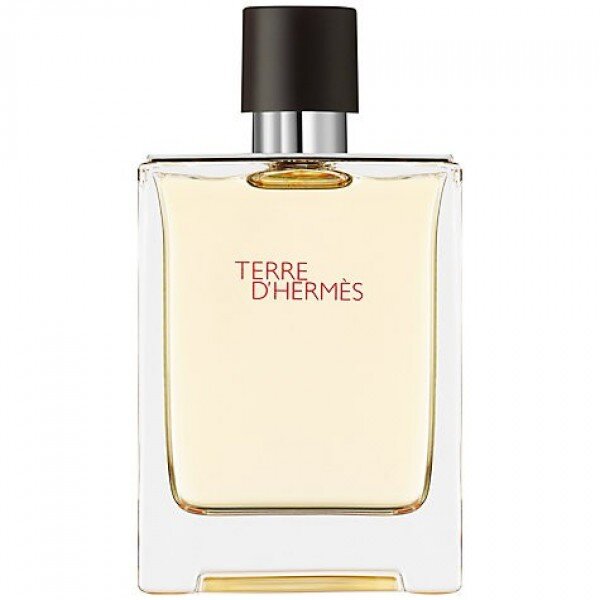 Hermes Terre D'Hermes EDT 50 ml Erkek Parfümü kullananlar yorumlar